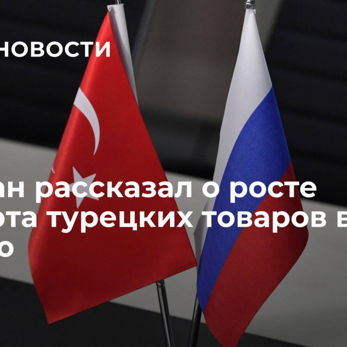 Эрдоган рассказал о росте экспорта турецких товаров в Россию