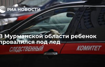 В Мурманской области ребенок провалился под лед