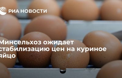 Минсельхоз ожидает стабилизацию цен на куриное яйцо