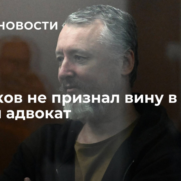 Стрелков не признал вину в суде, заявил адвокат