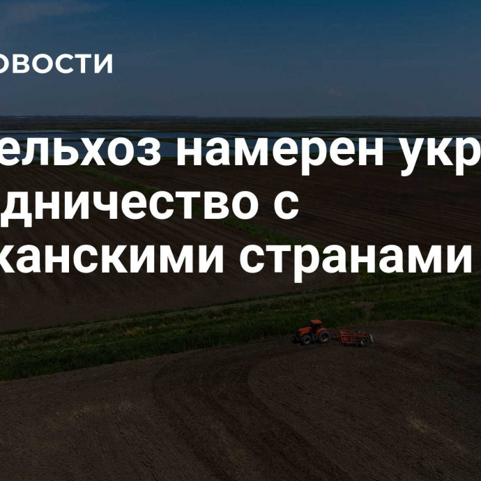 Минсельхоз намерен укрепить сотрудничество с африканскими странами