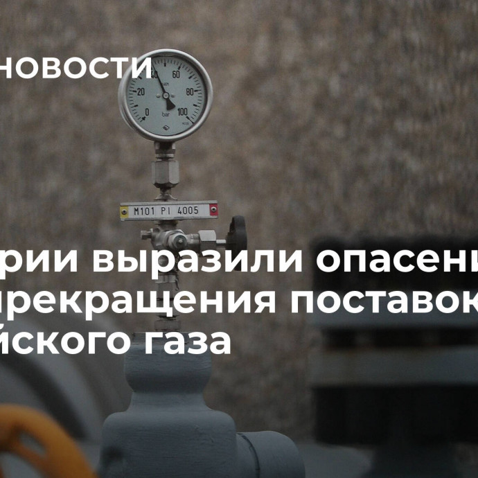 В Австрии выразили опасения из-за прекращения поставок российского газа