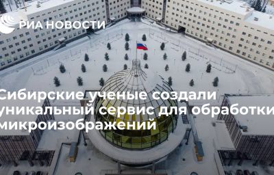 Сибирские ученые создали уникальный сервис для обработки микроизображений