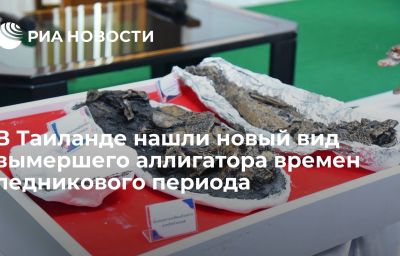 В Таиланде нашли новый вид вымершего аллигатора времен ледникового периода