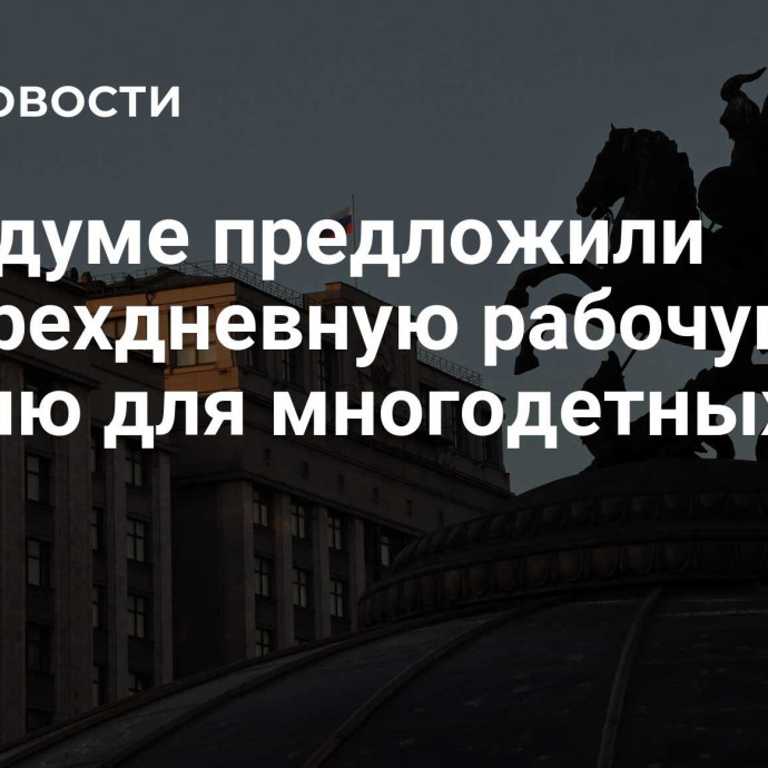 В Госдуме предложили четырехдневную рабочую неделю для многодетных