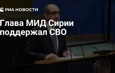 Глава МИД Сирии поддержал СВО