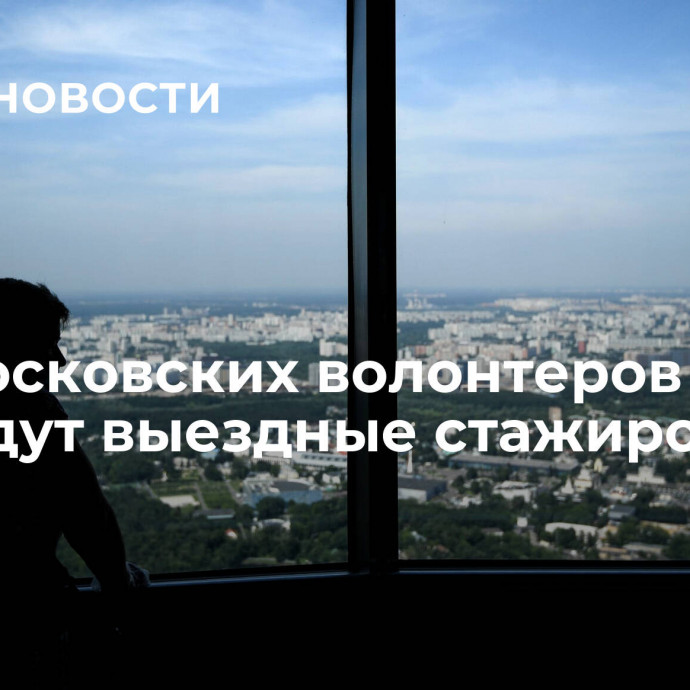 Для московских волонтеров проведут выездные стажировки