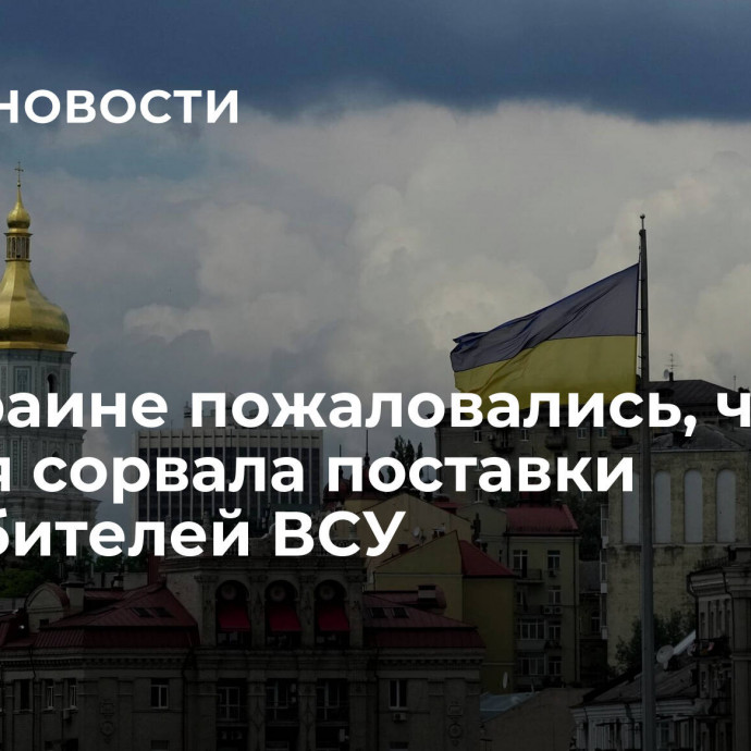 На Украине пожаловались, что Россия сорвала поставки истребителей ВСУ