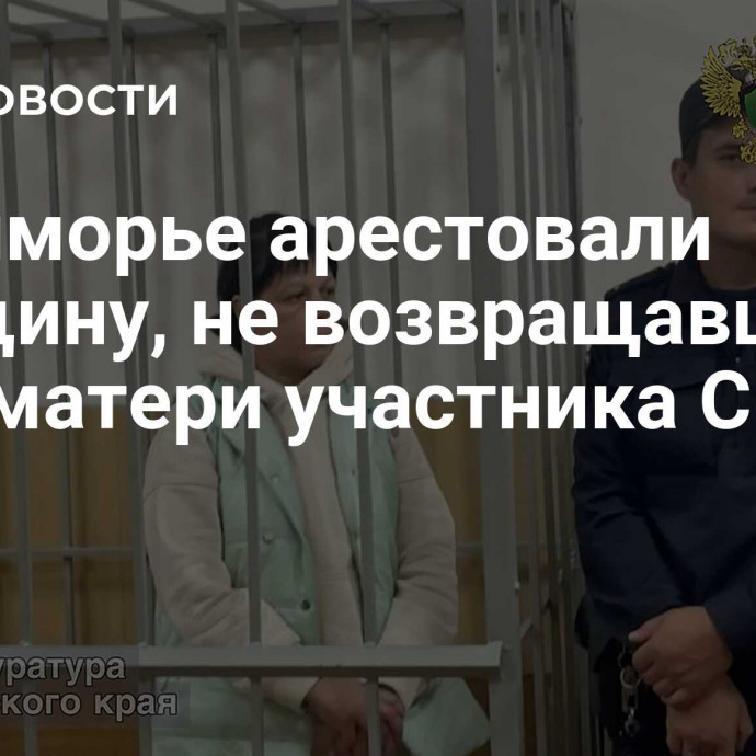 В Приморье арестовали женщину, не возвращавшую долг матери участника СВО