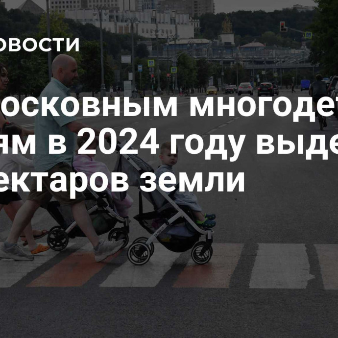 Подмосковным многодетным семьям в 2024 году выделят 280 гектаров земли