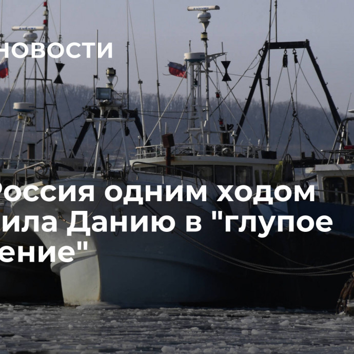 СМИ: Россия одним ходом поставила Данию в 