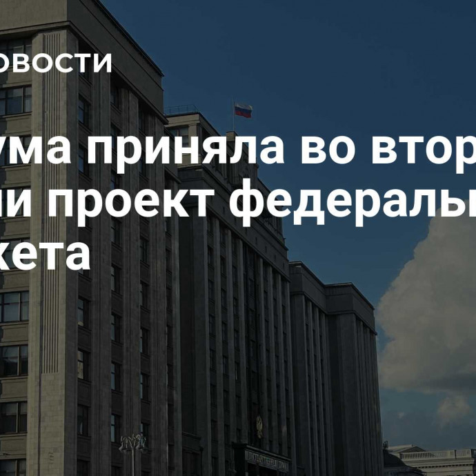 Госдума приняла во втором чтении проект федерального бюджета