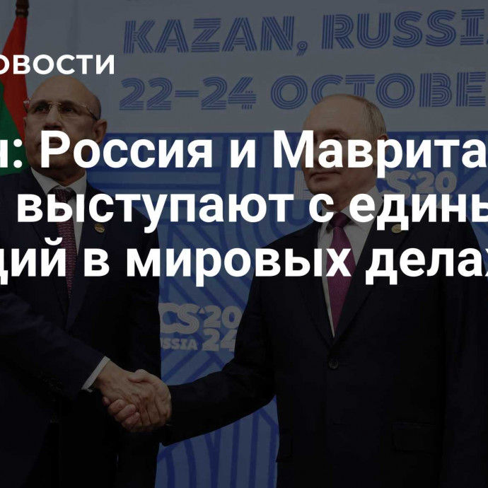 Путин: Россия и Мавритания часто выступают с единых позиций в мировых делах