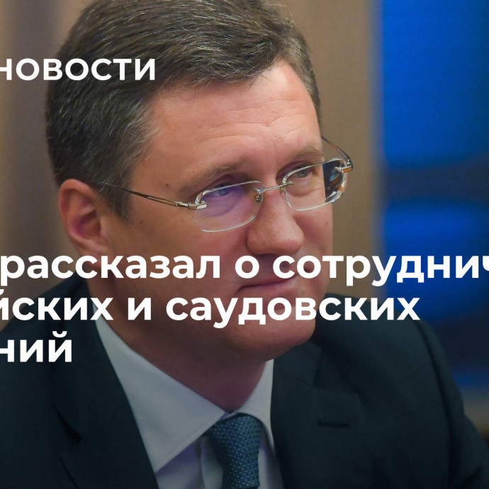 Новак рассказал о сотрудничестве российских и саудовских компаний