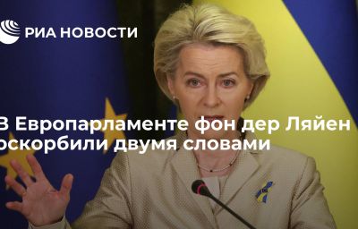 В Европарламенте фон дер Ляйен оскорбили двумя словами