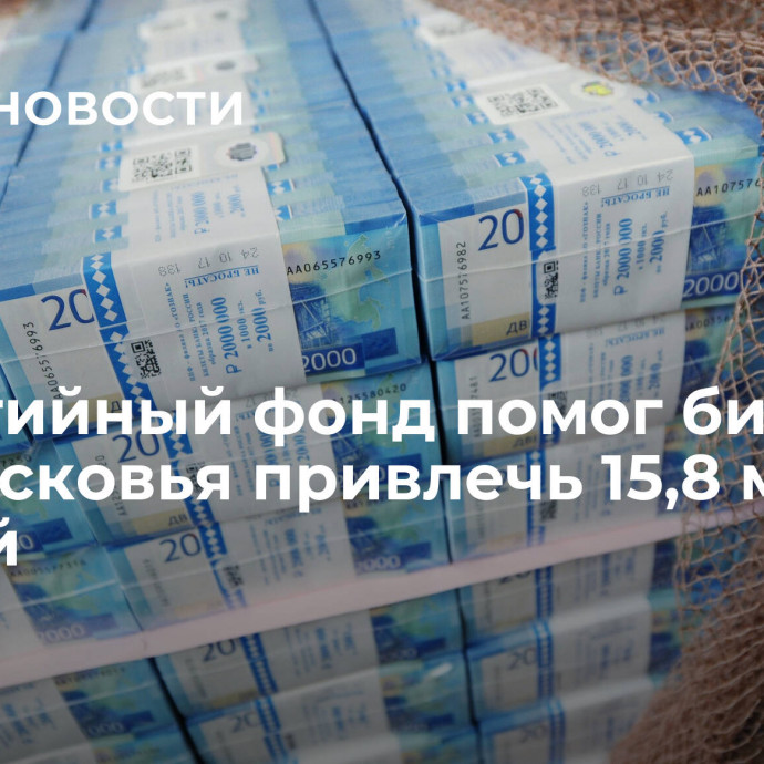 Гарантийный фонд помог бизнесу Подмосковья привлечь 15,8 млрд рублей