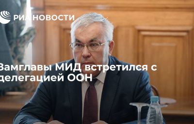 Замглавы МИД встретился с делегацией ООН