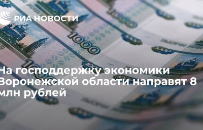 На господдержку экономики Воронежской области направят 8 млн рублей