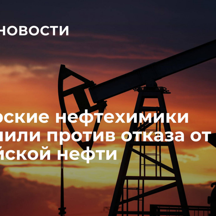 Болгарские нефтехимики выступили против отказа от российской нефти