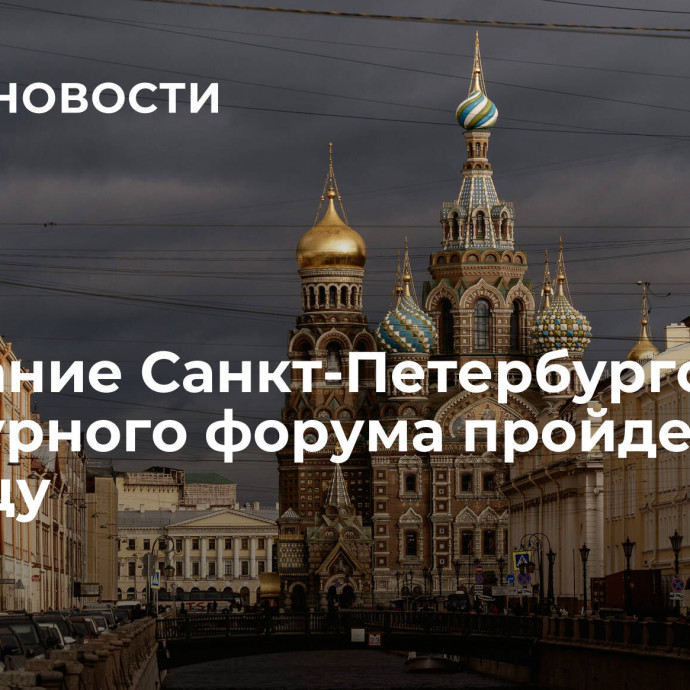 Заседание Санкт-Петербургского Культурного форума пройдет в пятницу