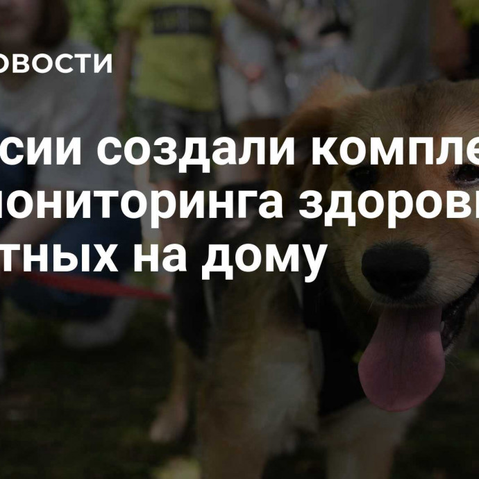 В России создали комплекс для мониторинга здоровья животных на дому