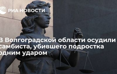 В Волгоградской области осудили самбиста, убившего подростка одним ударом