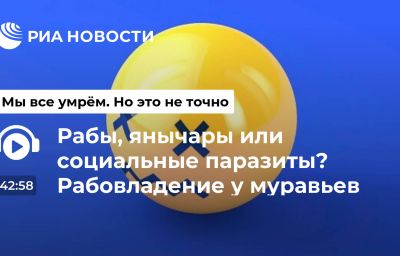 Рабы, янычары или социальные паразиты? Рабовладение у муравьев