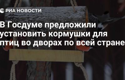 В Госдуме предложили установить кормушки для птиц во дворах по всей стране