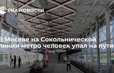 В Москве на Сокольнической линии метро человек упал на пути