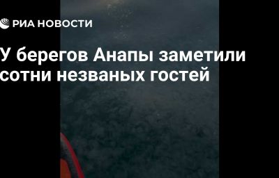 У берегов Анапы заметили сотни незваных гостей