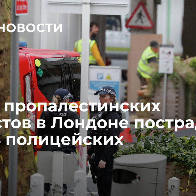 В ходе пропалестинских протестов в Лондоне пострадали девять полицейских