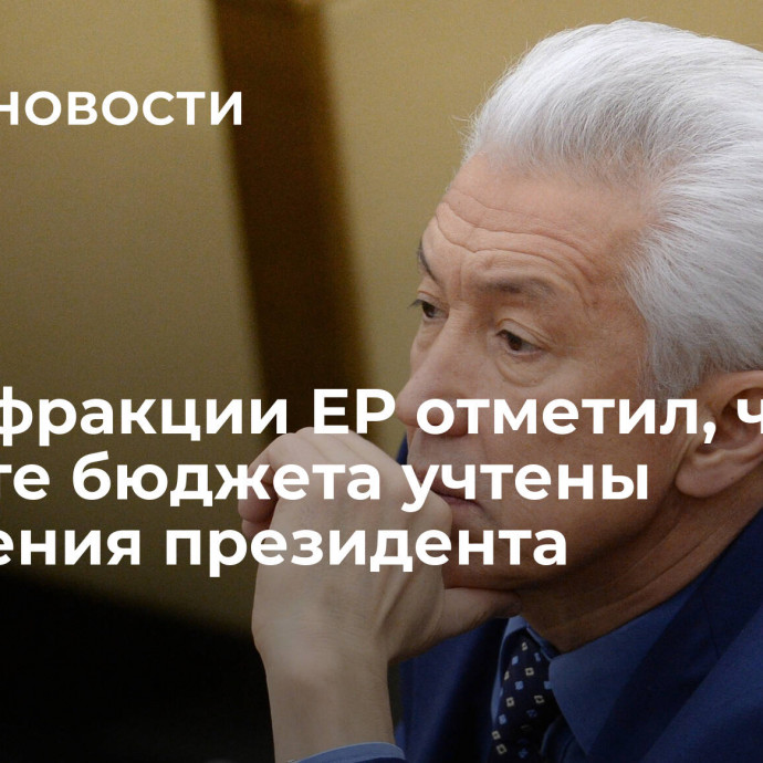 Глава фракции ЕР отметил, что в проекте бюджета учтены поручения президента