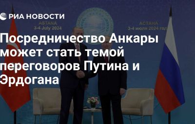 Посредничество Анкары может стать темой переговоров Путина и Эрдогана