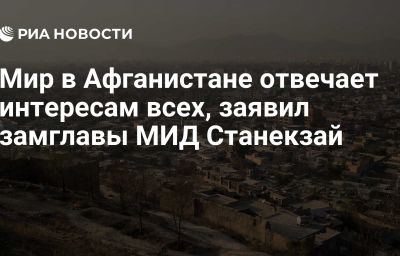 Мир в Афганистане отвечает интересам всех, заявил замглавы МИД Станекзай