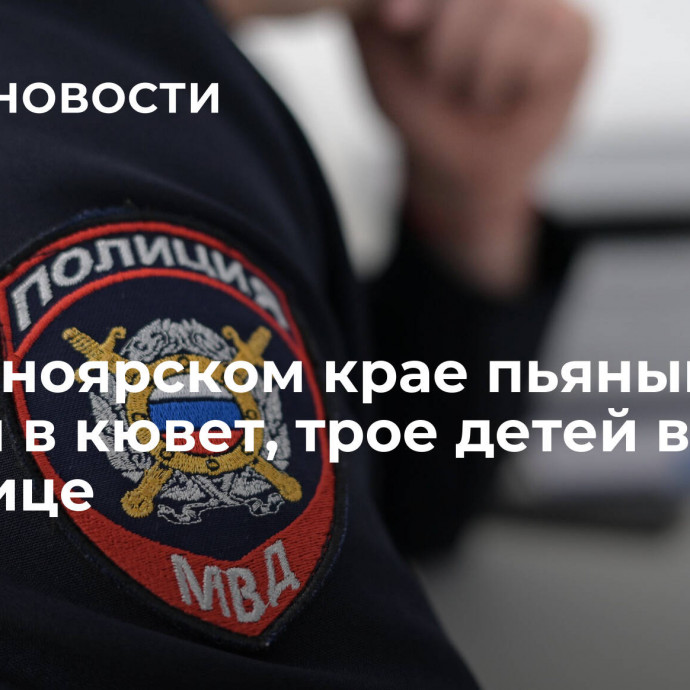 В Красноярском крае пьяный отец съехал в кювет, трое детей в больнице