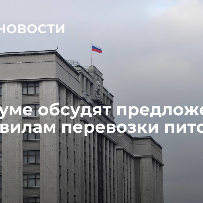 В Госдуме обсудят предложения по правилам перевозки питомцев