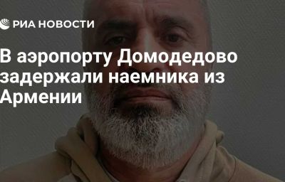 В аэропорту Домодедово задержали наемника из Армении