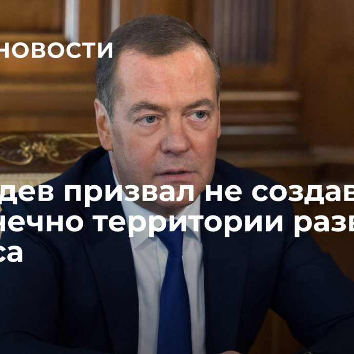 Медведев призвал не создавать бесконечно территории развития бизнеса