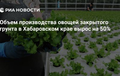 Объем производства овощей закрытого грунта в Хабаровском крае вырос на 50%