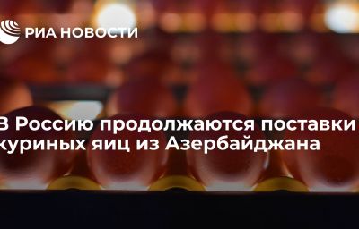 В Россию продолжаются поставки куриных яиц из Азербайджана