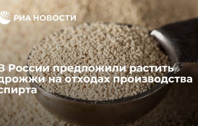 В России предложили растить дрожжи на отходах производства спирта