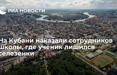 На Кубани наказали сотрудников школы, где ученик лишился селезенки