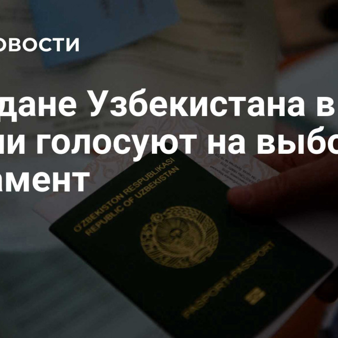 Граждане Узбекистана в России голосуют на выборах в парламент