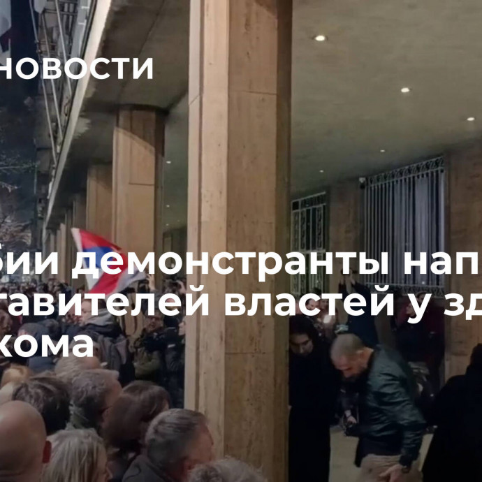 В Сербии демонстранты напали на представителей властей у здания избиркома