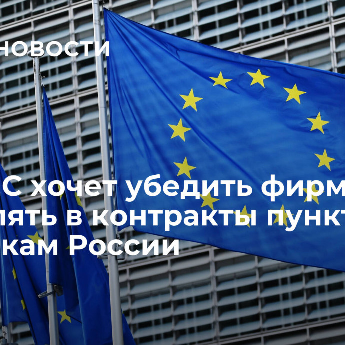 СМИ: ЕС хочет убедить фирмы добавлять в контракты пункт по поставкам России