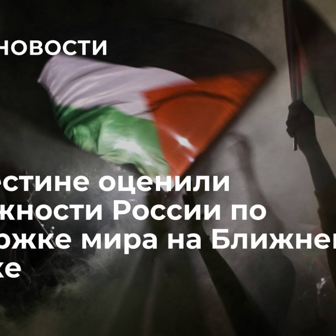 В Палестине оценили возможности России по поддержке мира на Ближнем Востоке