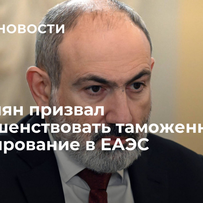 Пашинян призвал совершенствовать таможенное регулирование в ЕАЭС