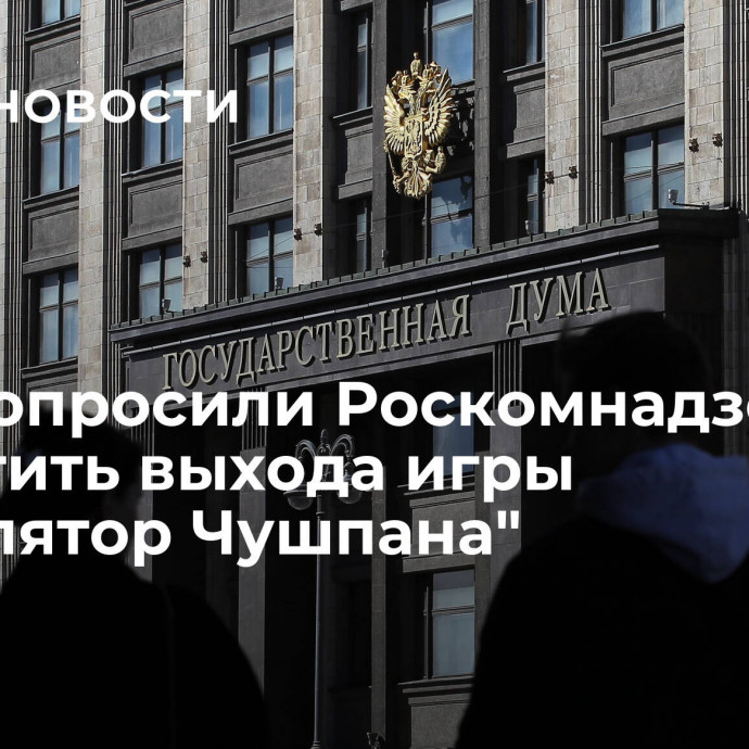 В ГД попросили Роскомнадзор не допустить выхода игры 