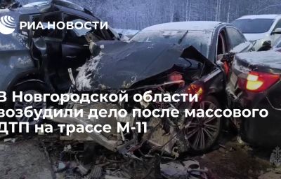 В Новгородской области возбудили дело после массового ДТП на трассе М-11