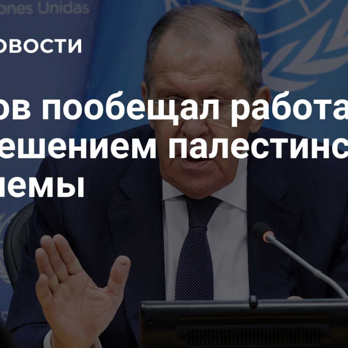 Лавров пообещал работать над решением палестинской проблемы